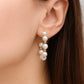 Aros Argolla Perlas Akoya - Oro Amarillo 18kt